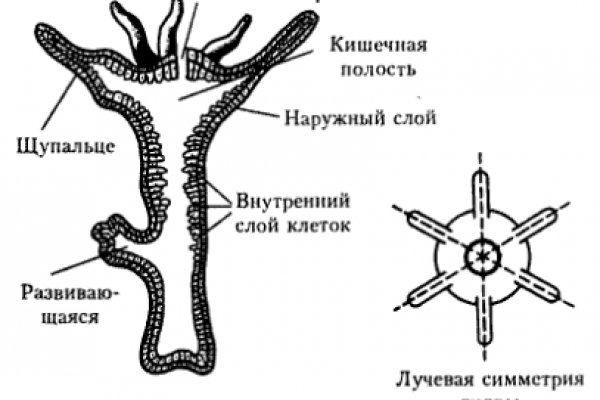 Зеркало омг омг тор